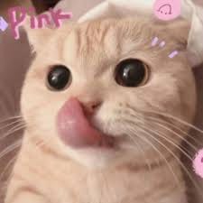 Antonio Castro avatar